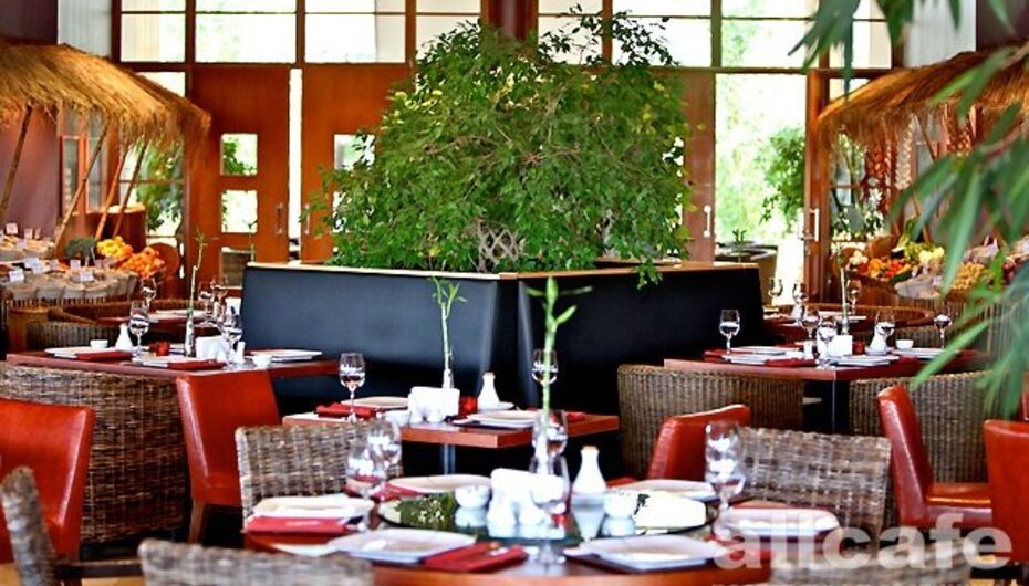 Отзывы о ресторане Азия