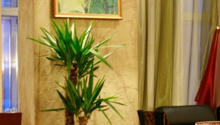 Журнал ресторана Карелия