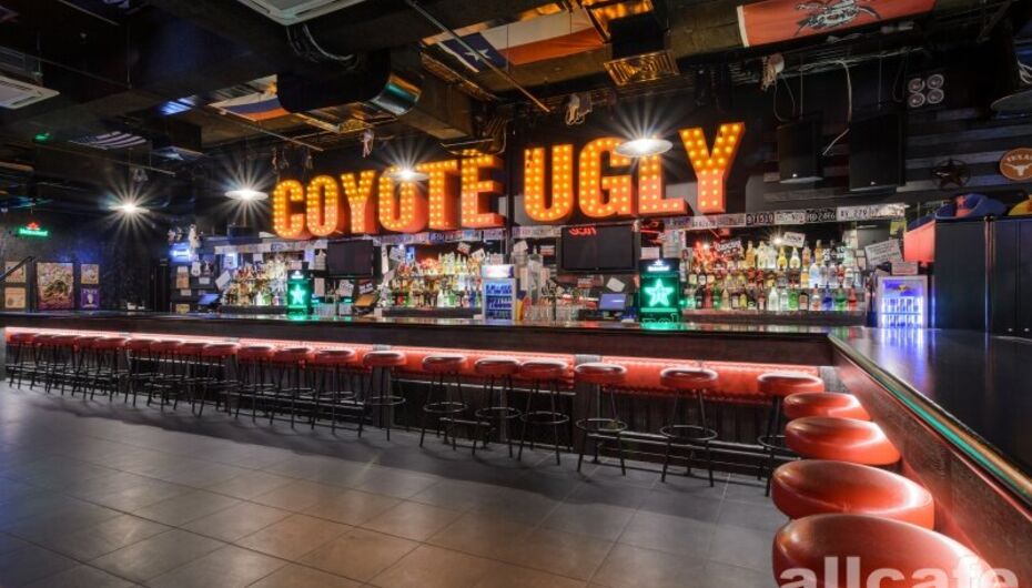 Бар Гадкий Койот