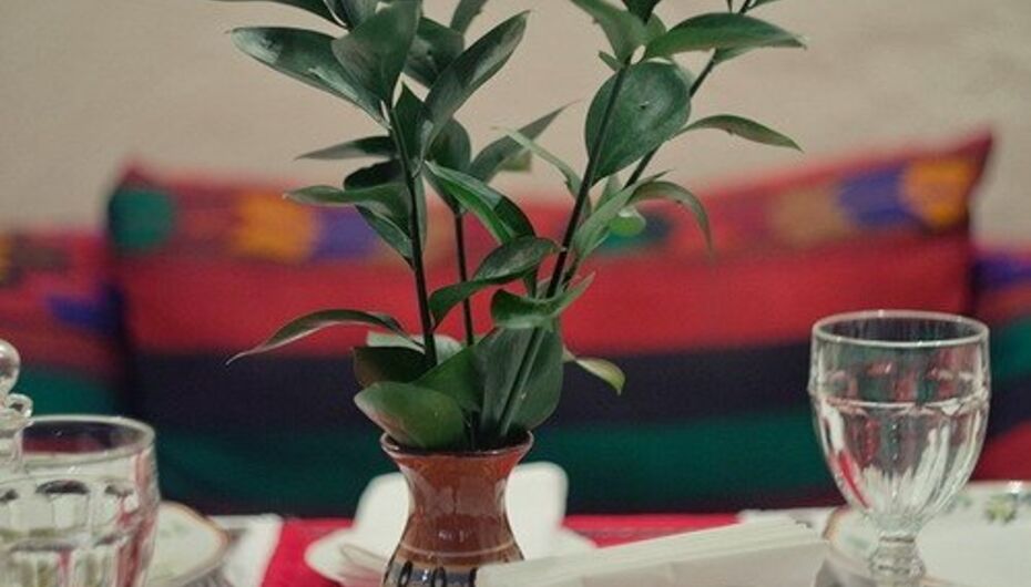 Ресторан Баба Марта