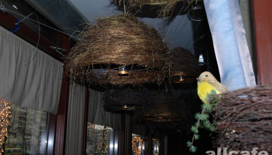 Ресторан Гнездо