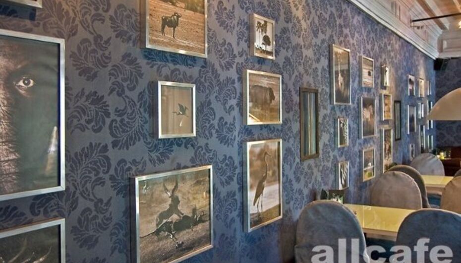 Отзывы о кафе Moloko / Молоко