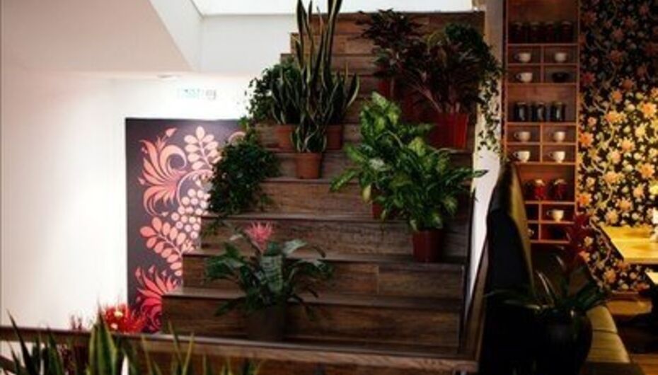 Кафе-ресторан Избушка