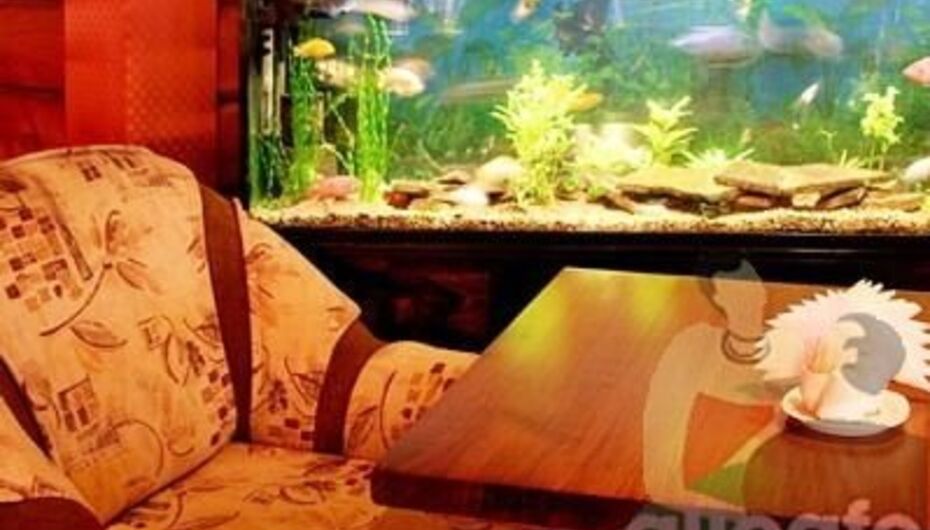 Ресторан Толстоевский