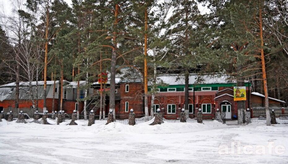 Кафе в березовке
