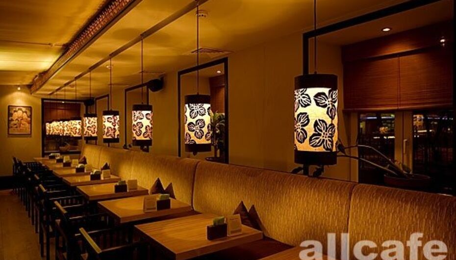 Ресторан Дайкон суши & нудл хаус