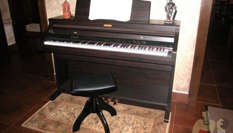 Ресторан Gintaras / Гинтарас / Янтарь