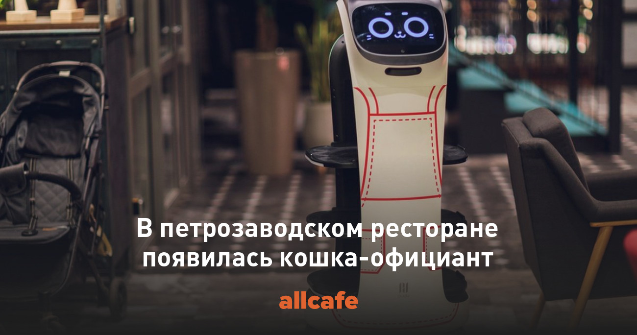 В петрозаводском ресторане появилась кошка-официант