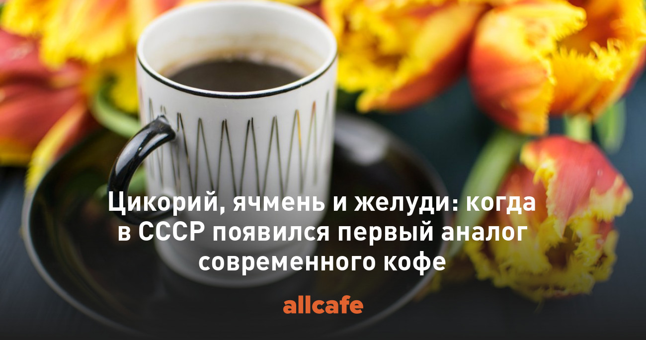 Цикорий, ячмень и желуди: когда в СССР появился первый аналог современного  кофе