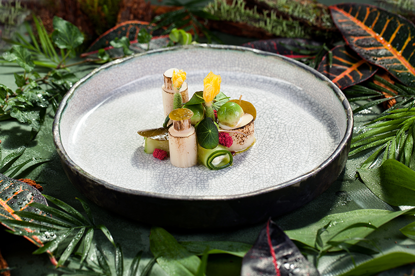 Cердцевина пальмы / листья каперсов / малосольный огурец / сливочный сыр